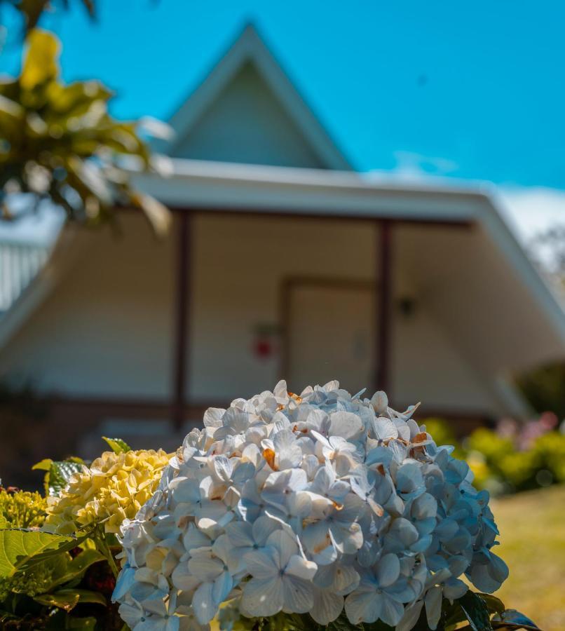 Hortensias Chalets Vara Blanca Эредия Экстерьер фото